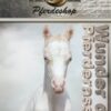 Pferdeshop XXL, Pferdeshop-xxl.de, Pferderassen, Welche Pferderasse, Pferde Zucht, Pferderasse züchten, Pferderasse Geschichte, Pferde Geschichte