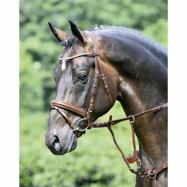 BUSSE Trense Arezzo, Gr. Warmblut - hazel