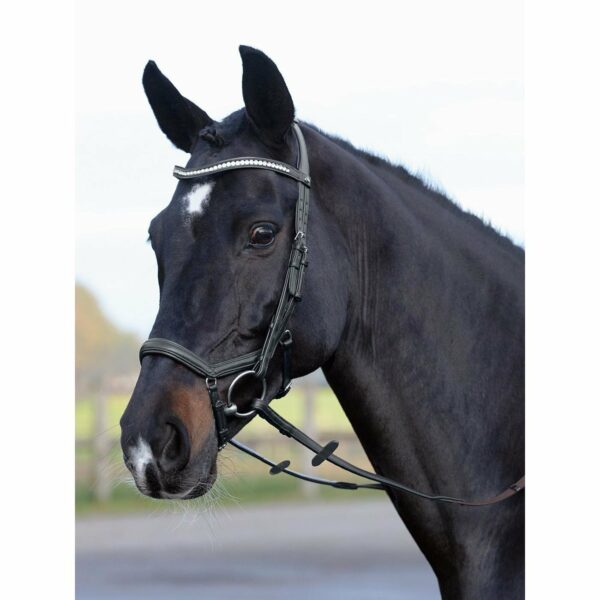 BUSSE Trense Emotion, Gr. Warmblut - schwarz/Kristall