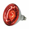 Eider Infrarotlampe, rot, 250 Watt, für Infrarot-Aufzuchtstrahler, ...