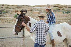 reitunterricht, reitstunden, reitunterricht erwachsene, reitkurse, mobiler reitunterricht, reitkurse erwachsene, reitstunden kosten, springunterricht