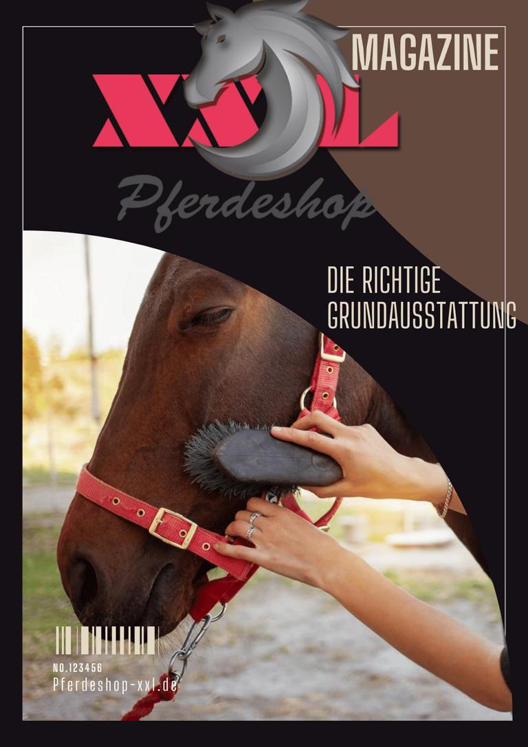pferdezubehör, Grundausstattung für ein Pferd, Strick, Halfter, Pferdeshop-xxl.de, Pferdeshop - Magazin, grundausstattung pferd