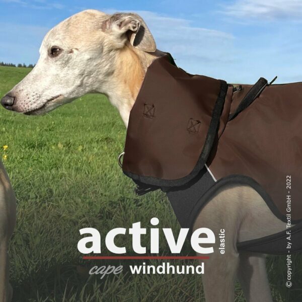 Active Cape Elastic Windhund, Rückenlänge 59 cm, brown