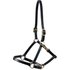 Lederhalfter für Pferde Premier Equine 1 Pferdeshop XXL product_name1} günstig kaufen für Pferdefreunde